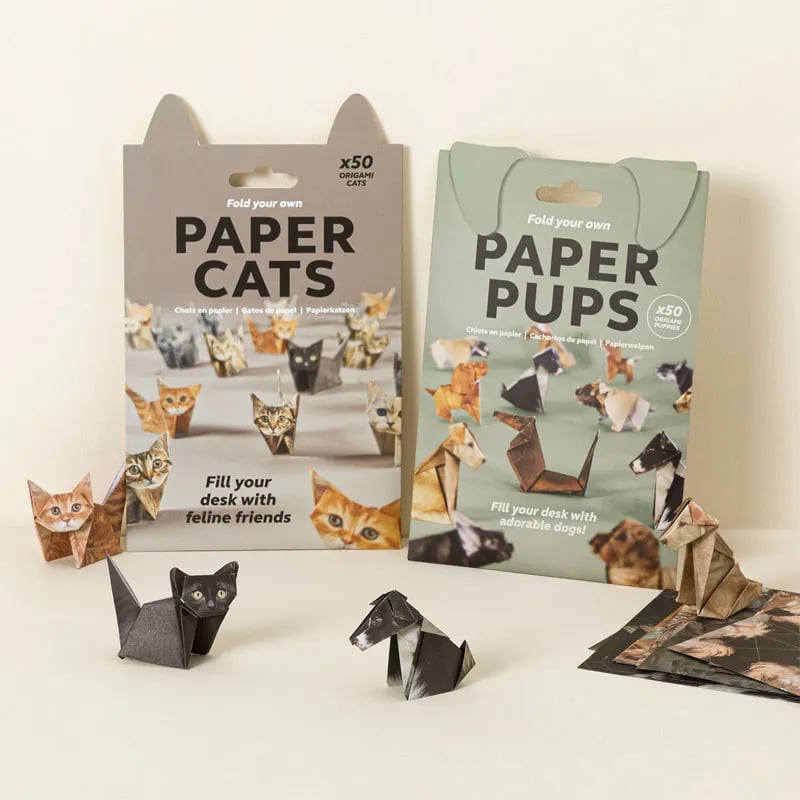 Gatti di carta fai da te (50 pezzi)