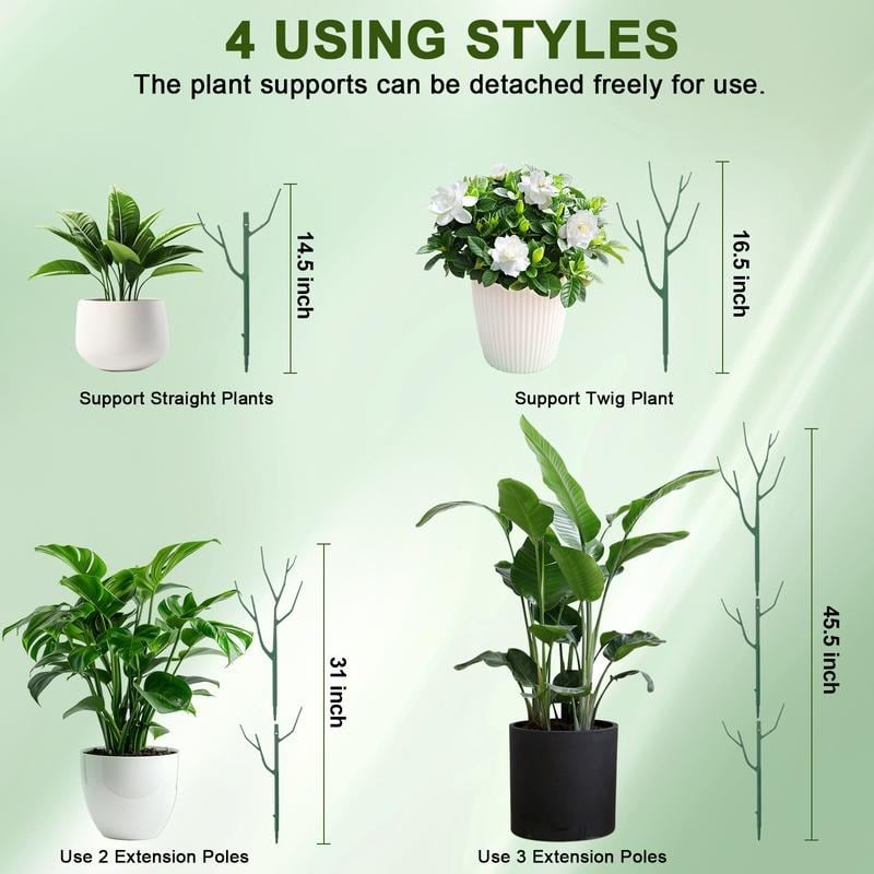 🌿Struttura di sostegno per piante verdi da giardino