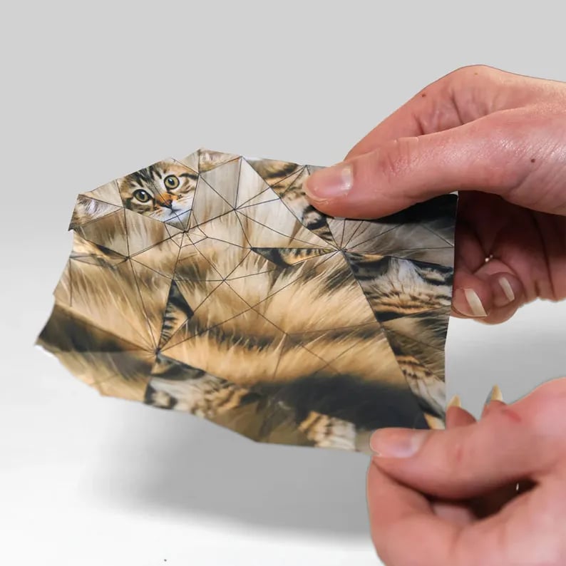 Gatti di carta fai da te (50 pezzi)