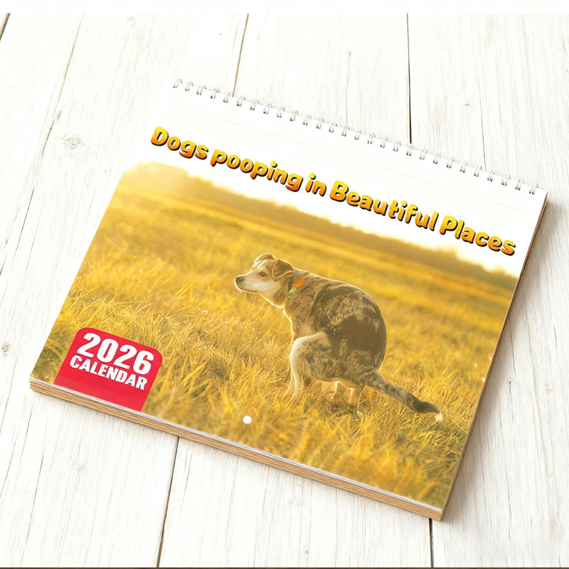 🔥Saldi natalizi 49% di sconto🎄Calendario Gatti 2026