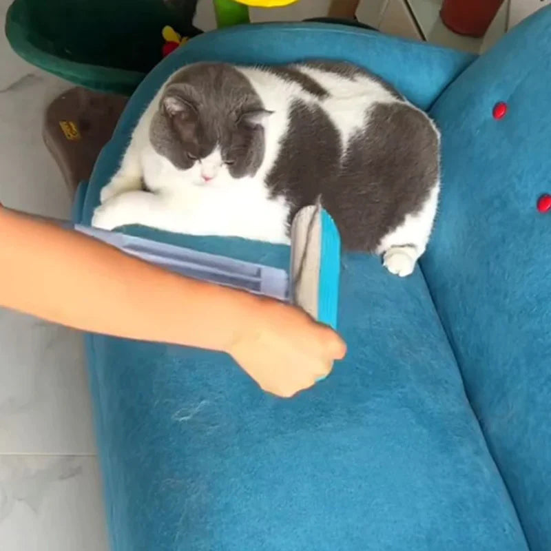 Hair Removal Brush
