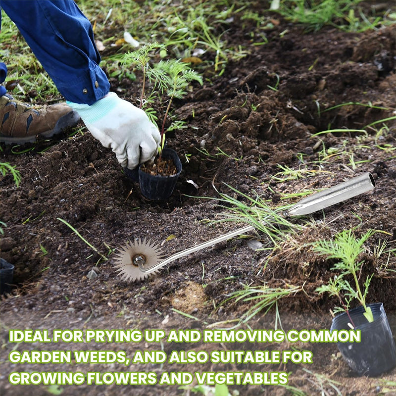 Weeding Tools Agricultural Weeder Rake