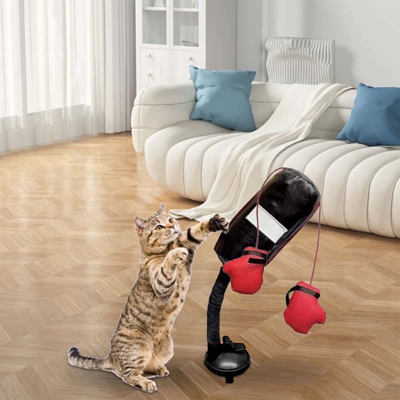 Giocattoli da boxe per gatti