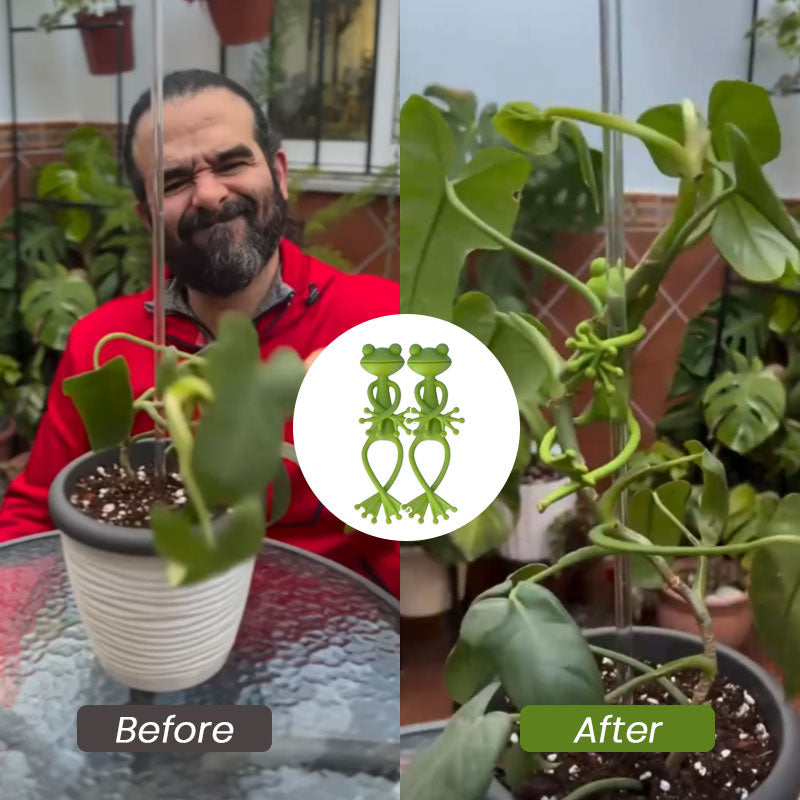 Supporto per piante di rana