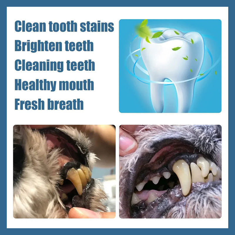 Spazzolino da denti per animali domestici Pen