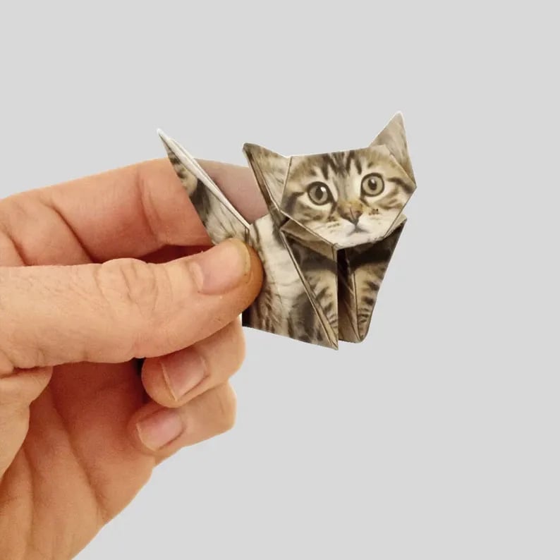 Gatti di carta fai da te (50 pezzi)