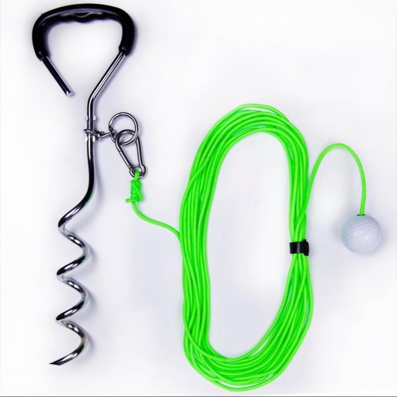 Allenatore dello swing del golf