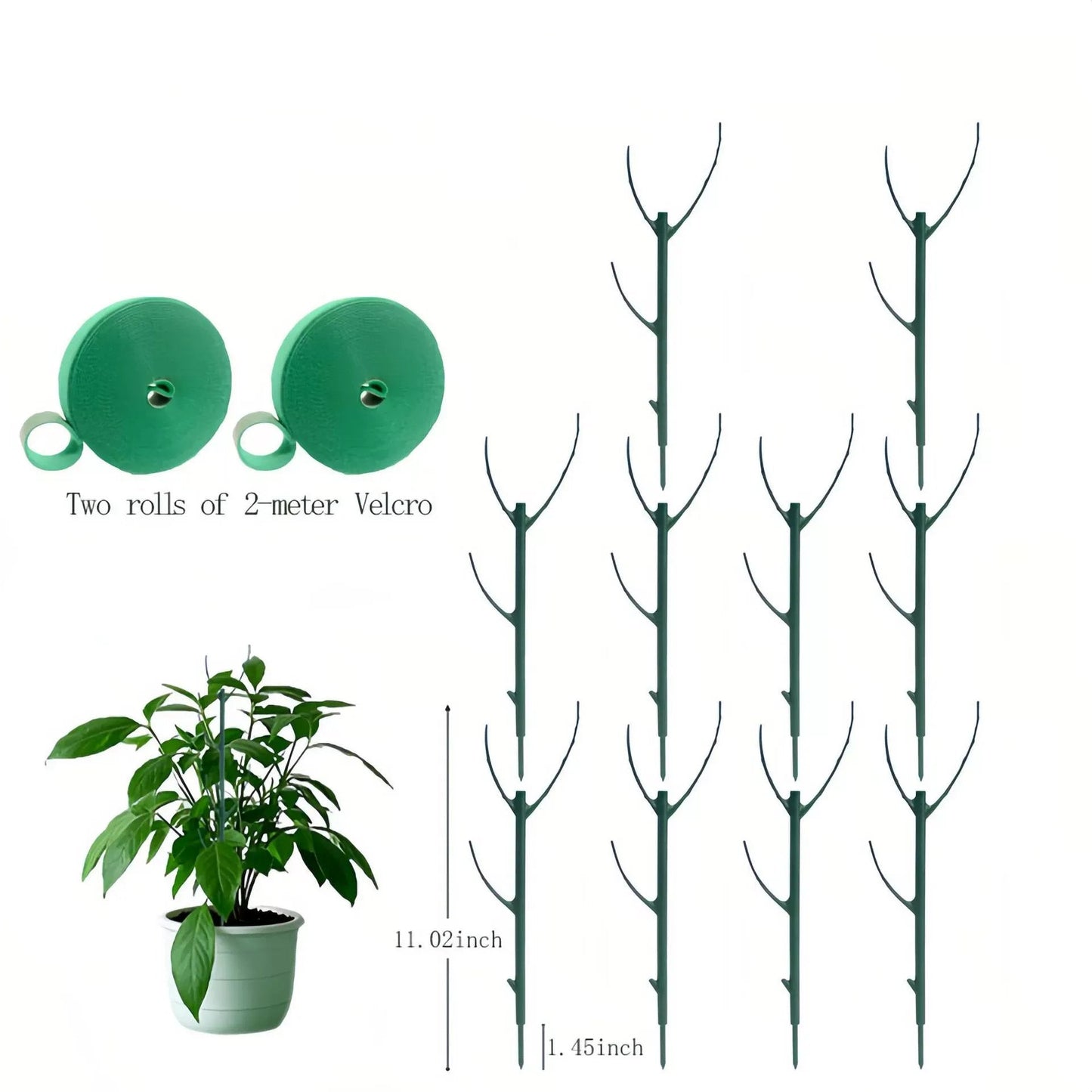 🌿Struttura di sostegno per piante verdi da giardino