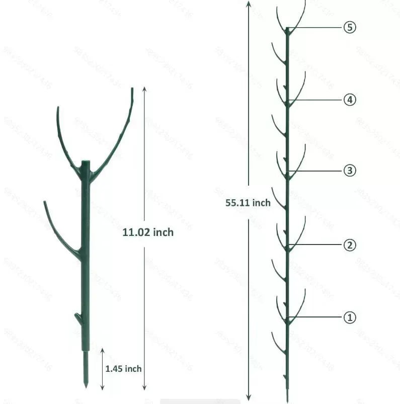 🌿Struttura di sostegno per piante verdi da giardino