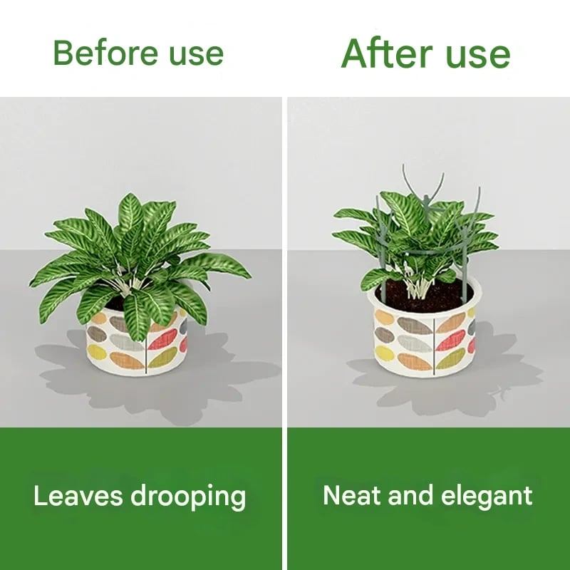 🌿Struttura di sostegno per piante verdi da giardino