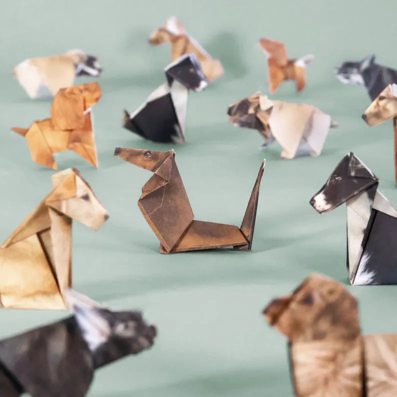 Gatti di carta fai da te (50 pezzi)