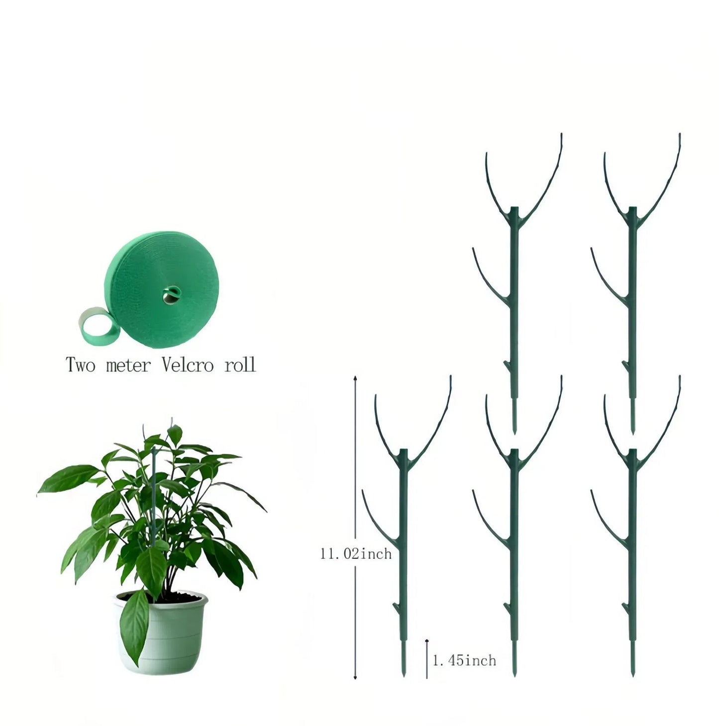 🌿Struttura di sostegno per piante verdi da giardino