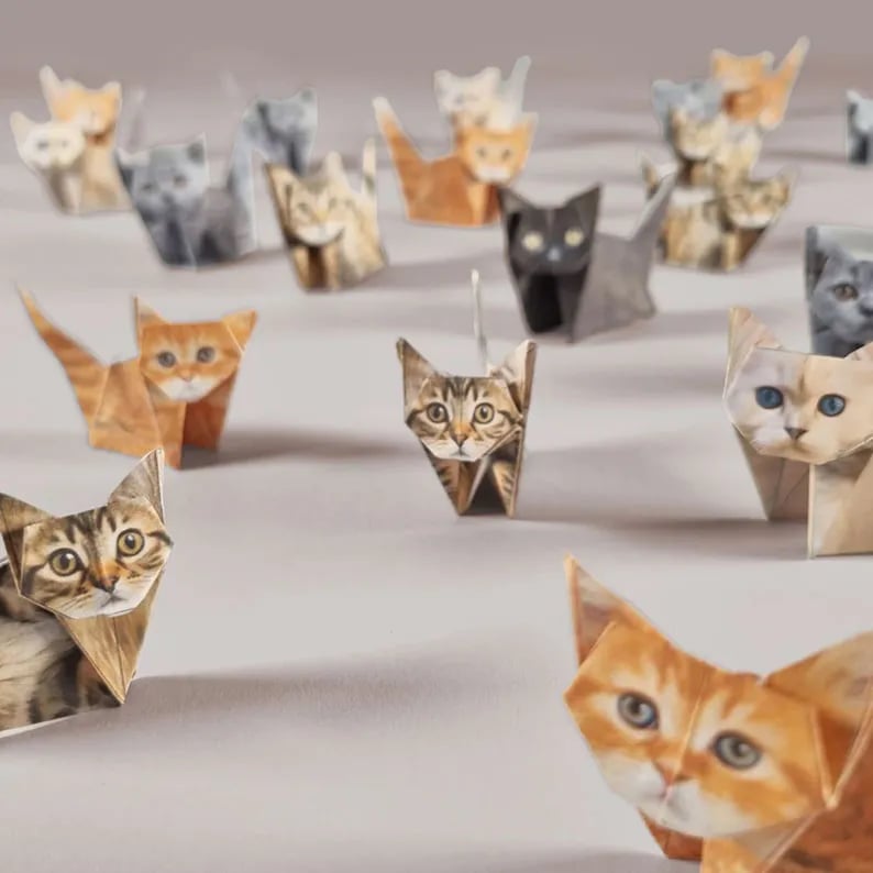 Gatti di carta fai da te (50 pezzi)