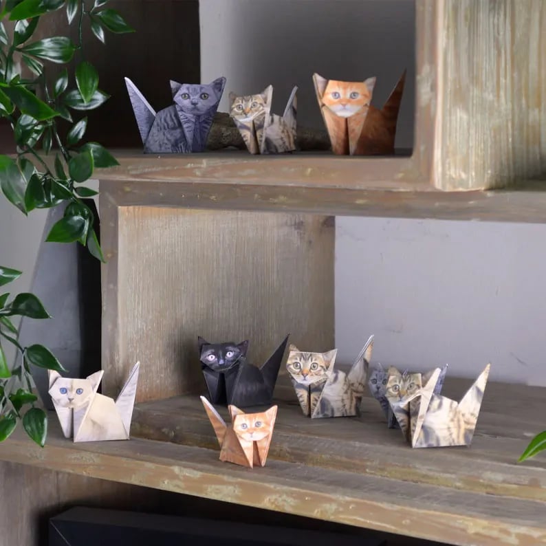 Gatti di carta fai da te (50 pezzi)