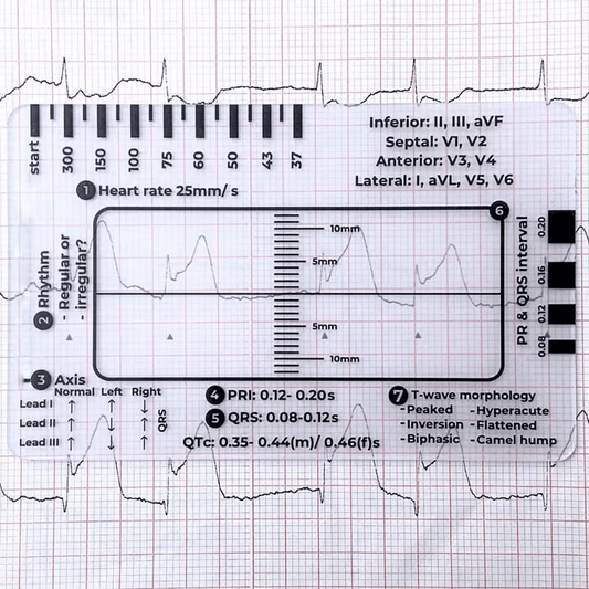 Righello ECG 7 fasi