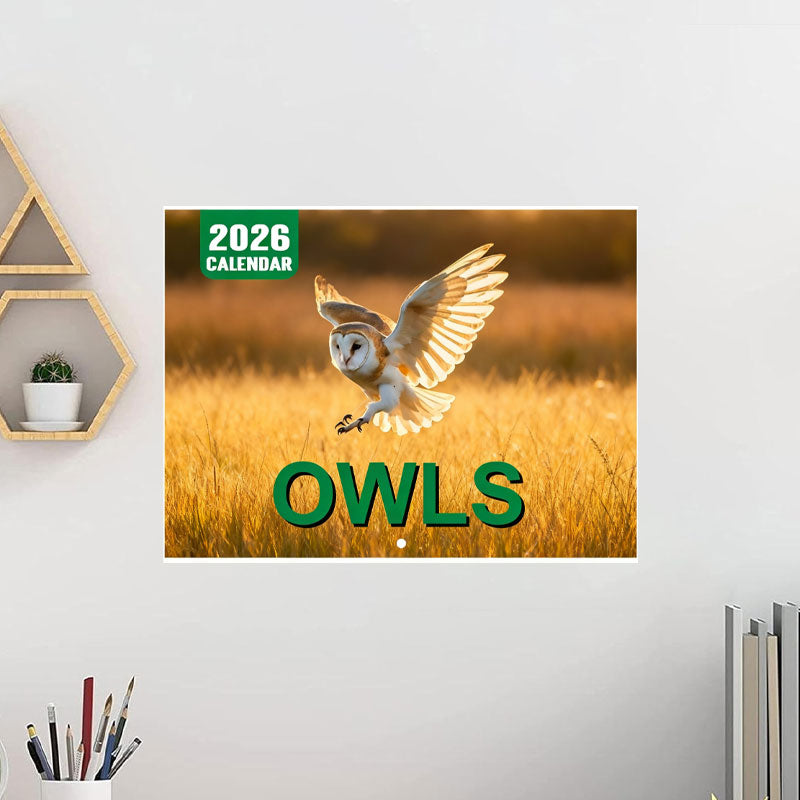 🔥Saldi natalizi 49% di sconto🎄Calendario Gatti 2026