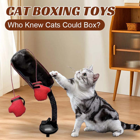 Giocattoli da boxe per gatti