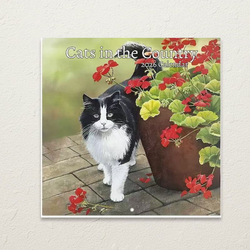 🔥Saldi natalizi 49% di sconto🎄Calendario Gatti 2026