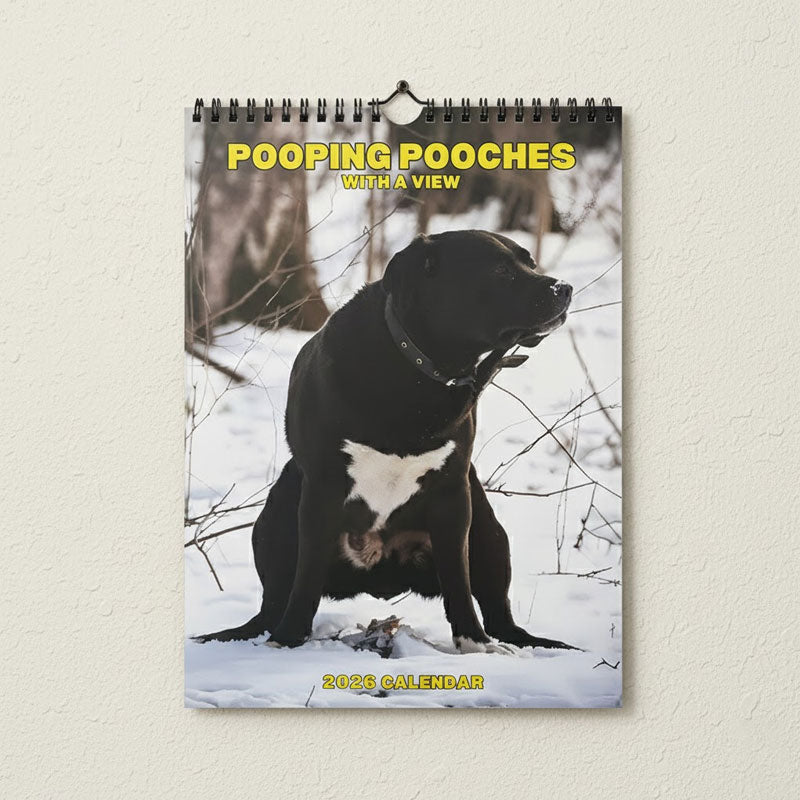 🔥Saldi natalizi 49% di sconto🎄Calendario Gatti 2026