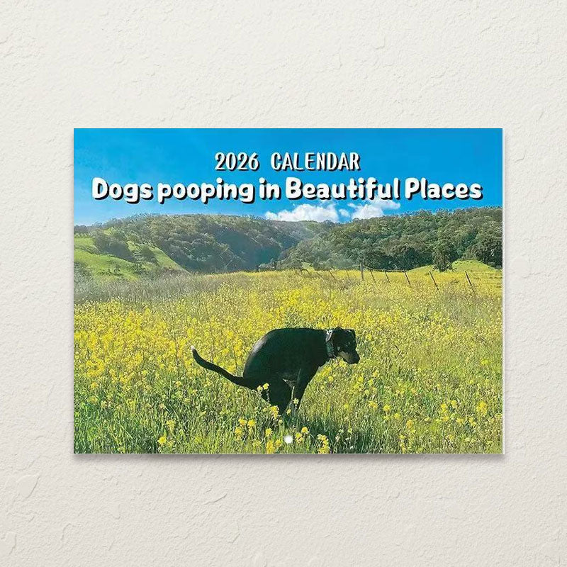 🔥Saldi natalizi 49% di sconto🎄Calendario Gatti 2026