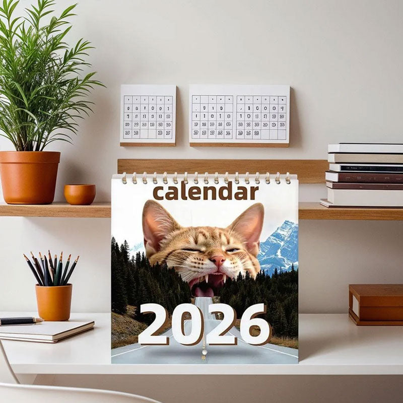 🔥Saldi natalizi 49% di sconto🎄Calendario Gatti 2026
