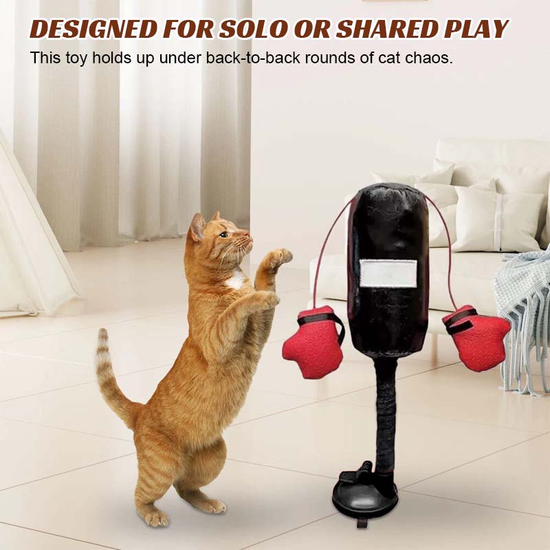 Giocattoli da boxe per gatti