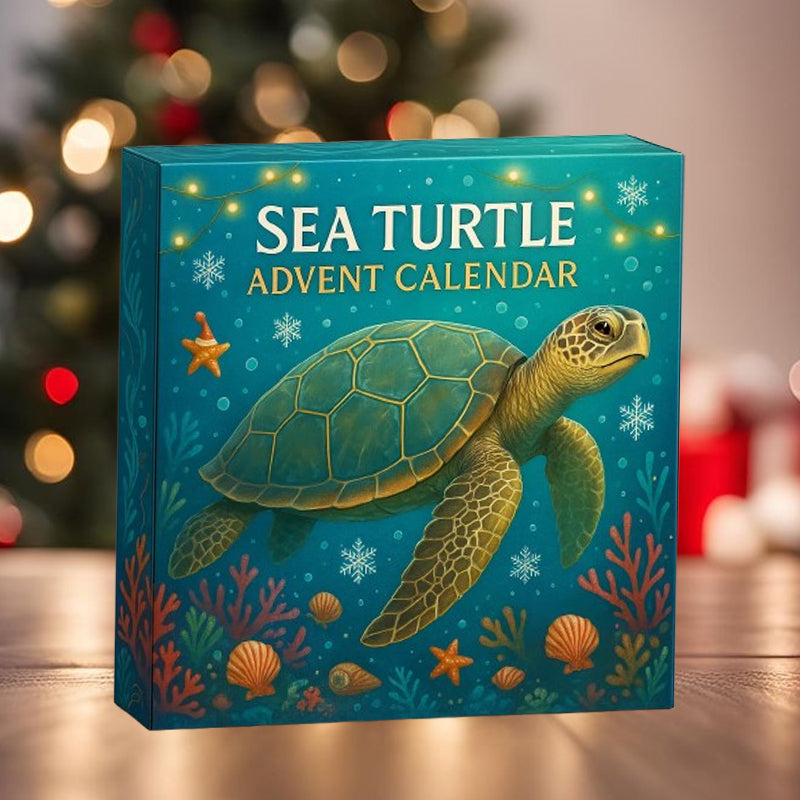 🌊🐢 Calendario dell'Avvento delle tartarughe marine 2025