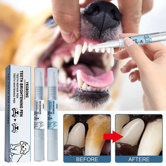 Spazzolino da denti per animali domestici Pen