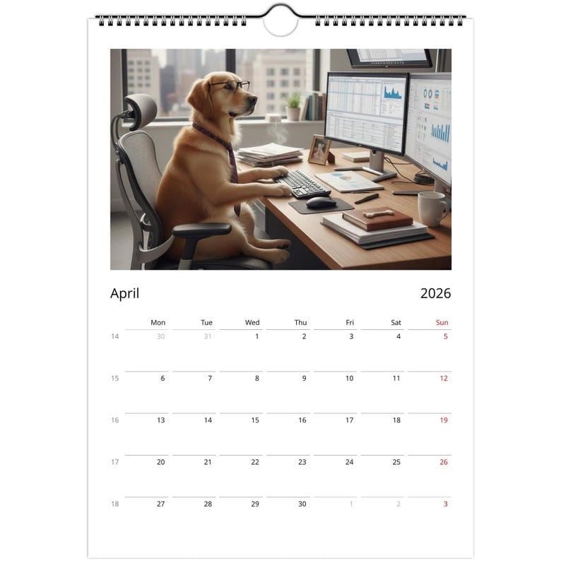 🔥Saldi natalizi 49% di sconto🎄Calendario 2026 con il cane Golden Retriever - Attività quotidiane🎁