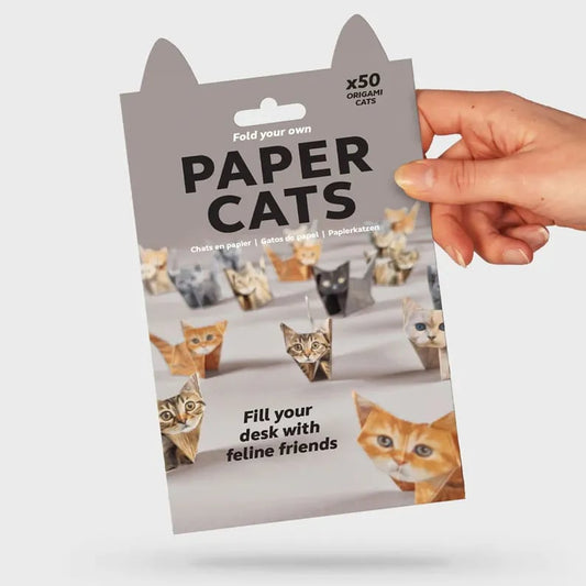 Gatti di carta fai da te (50 pezzi)