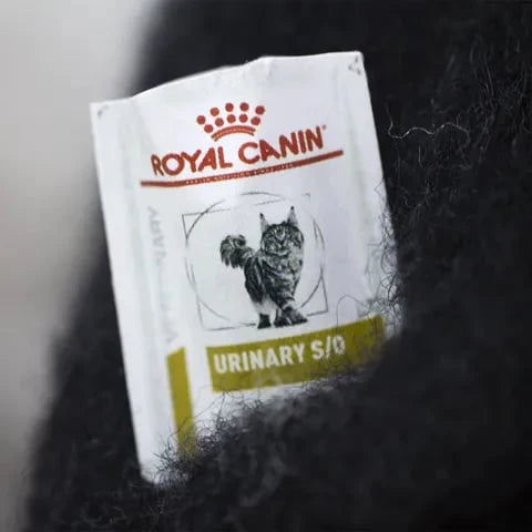 🎄✨Familiari in feltro di lana – Stravaganti compagni fatti a man