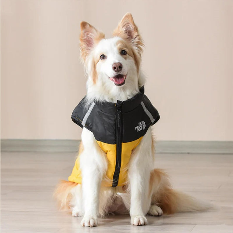 🔥Saldi natalizi 49% di sconto🎄Cappotto invernale impermeabile e antivento per cani🐶